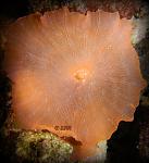 DSCN0865