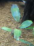 IMG 5620