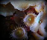 DSCN0882
