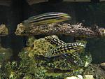 IMG 4586
