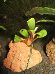 IMG 5859