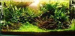 user11733 pic72649 1310196231