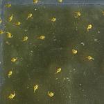    10-11          