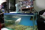311 tank[1]