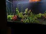 DSCN3412