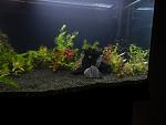 DSCN3413