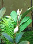 IMG 5883