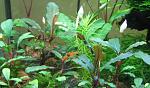 IMG 5889