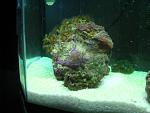 IMG 4751