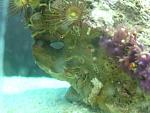 IMG 4757