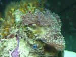 IMG 4754
