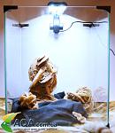 DSC01561