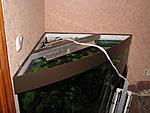 IMG 3728