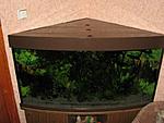 IMG 3735