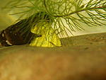 PB020002 resize