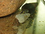 PB020054 resize