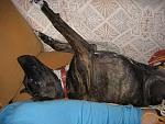IMG 5831