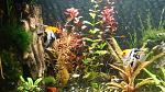 DSC01970