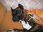IMG 5829