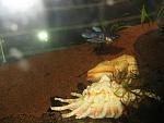 IMG 4228