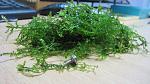 IMG 6006