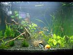 DSCN0095