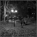 Nikon D700 + NiikKor 24 f1,4G 
iso1600, 1/60, f1,4.