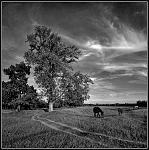 Canon 5D + Canon EF 17x40 f4L 
iso100, 1/350, f4,5.
