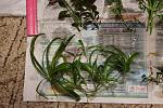 IMG 4749