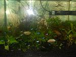 DSCN0059