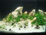 IMG 4762