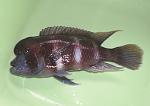 GEDC0394