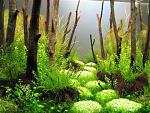 IMG 4759
