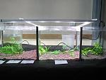 IMG 4782