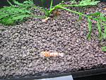 IMG 4788