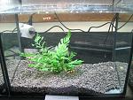 IMG 4791