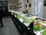 IMG 4802
