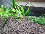 IMG 4790