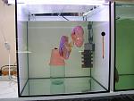 IMG 4778