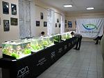 IMG 4801