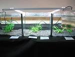 IMG 4785