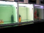 IMG 4776
