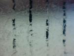 Untitled 1