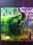 IMG 20121206 WA0004