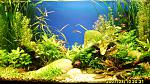 2007.   : 
 ( 418 840/830/fiora + 215  4100),  fluval 204(   ...