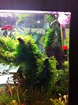 IMG 20121206 WA0005