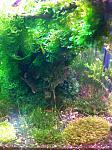 IMG 20121206 WA0001