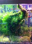 IMG 20121206 WA0000