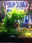 IMG 20121206 WA0003
