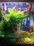 IMG 20121206 WA0002